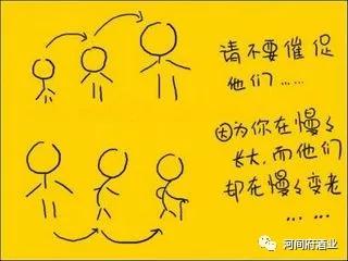 微信圖片_20180515153444 微信圖片_20180515153444